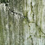 cover-image-107268