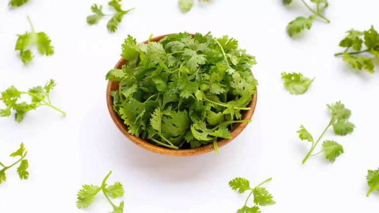 cover-image-110262