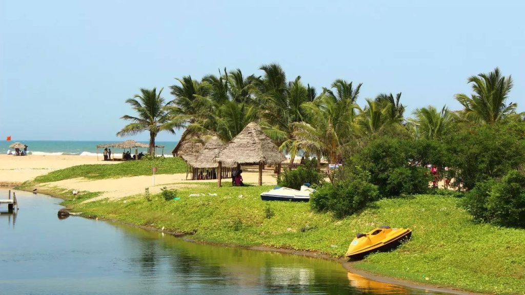 cover-image-95923