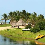 cover-image-95923