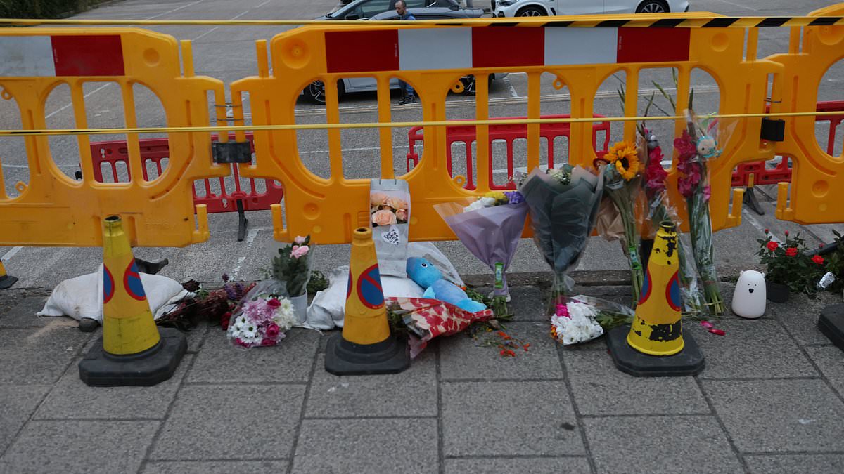 cover-image-120474