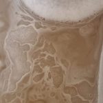 cover-image-120780