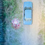 cover-image-125918